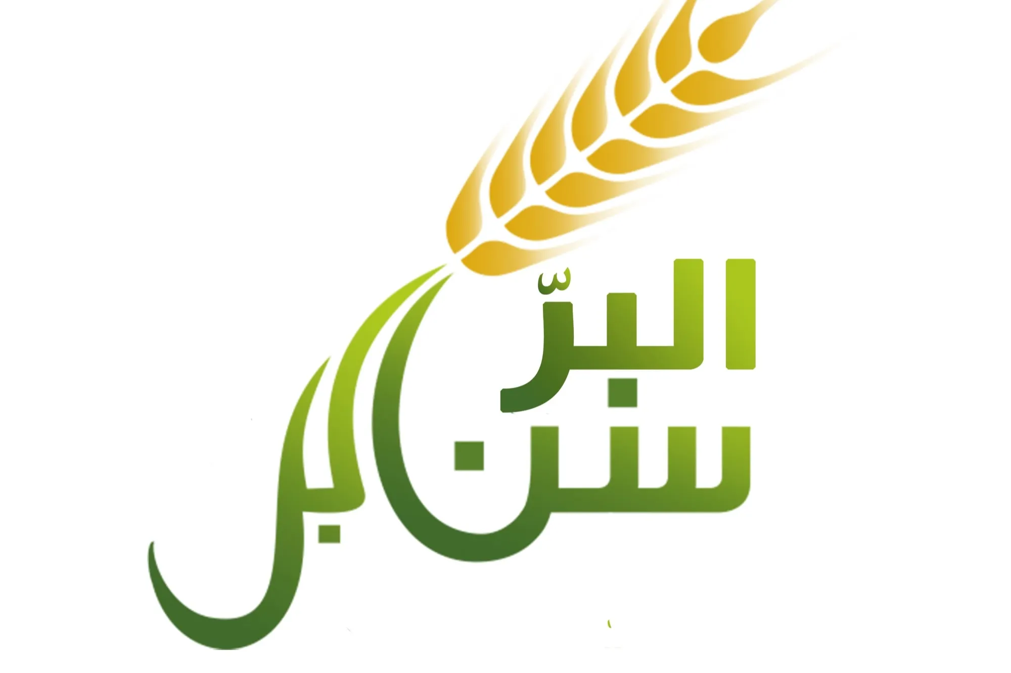سنابل البر