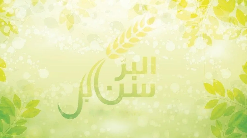 سنابل البر